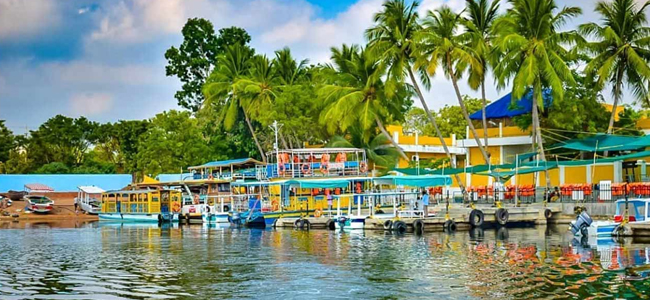 Take a Boat Ride over the Pristine Backwaters